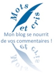 commentaire blog1